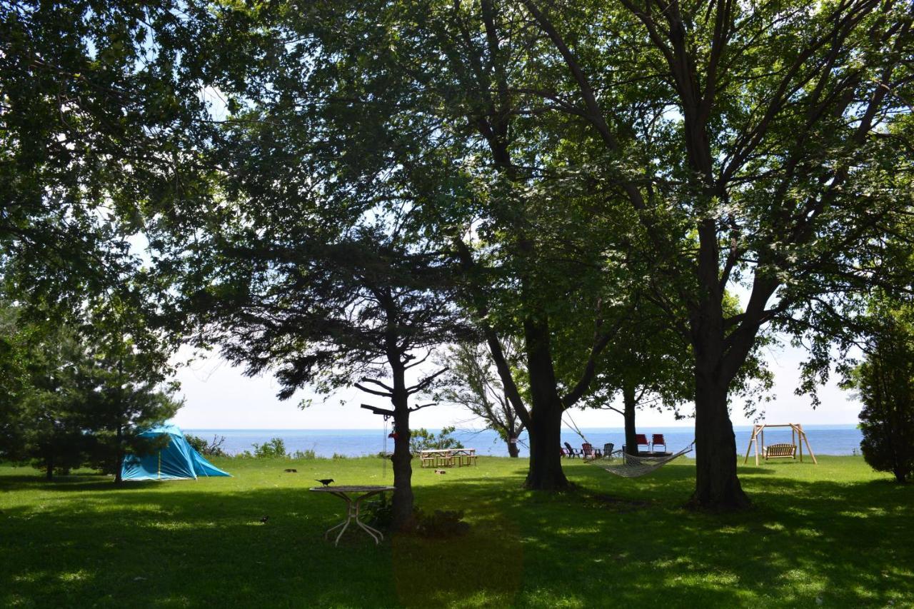 Birds Point Cottage On A Cliff Facing Lake Erie. Wheatley Ngoại thất bức ảnh